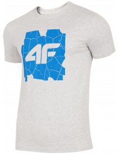 4F T-shirt męski S szary