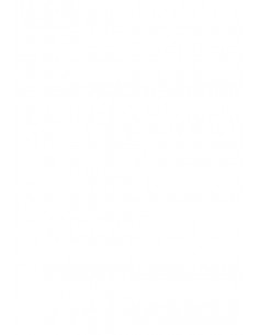 4F Koszulka polo męska L...